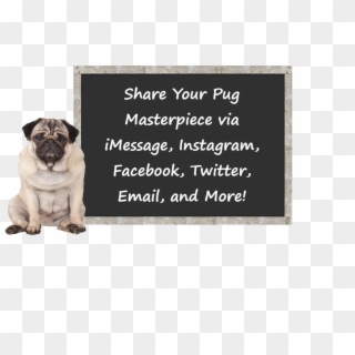 Create Art And Add Stickers And Filters To Your Pug's - Pug, HD Png Download
