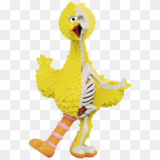 Sesame Street Big Bird Xxray Plus By Jason Freeny X - Mighty Jaxx Big Bird, HD Png Download