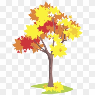 Calendar - Autumn Tree Flashcards, HD Png Download