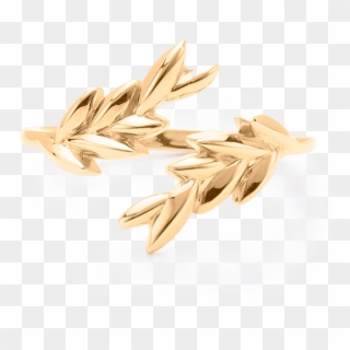 Olive Gold Leaf Ring - Einkorn Wheat, HD Png Download