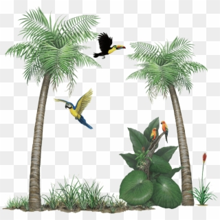 Tropical Forest Png - Palm Tree Mural, Transparent Png