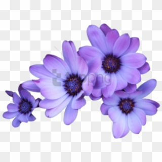 Free Png Transparent Flower Crown Tumblr Png Image - Purple Flower Transparent Background, Png Download