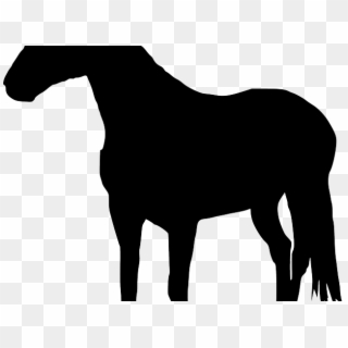 Horse Silhouette - Silhouette Transparent Horse Png, Png Download