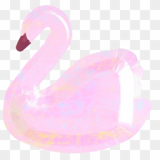 Swan Plate - Παρτυ Κυκνοσ, HD Png Download