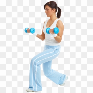 Fitness Exercise Programs In Home - Biceps Curl, HD Png Download