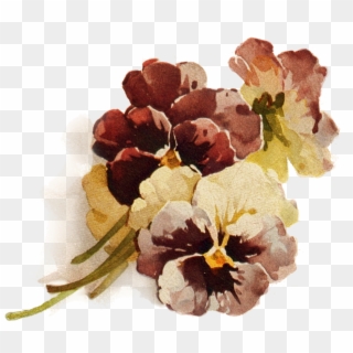 Autumn's Crowning Glory ~ Png File, Pansies Vintage - Brown Flower Transparent Background, Png Download