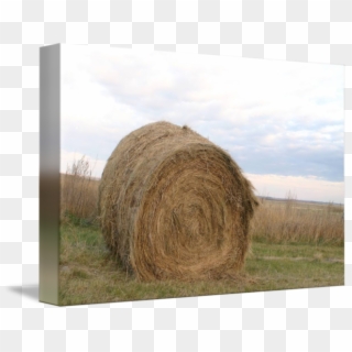 Straw Transparent Haystack - Hay, HD Png Download