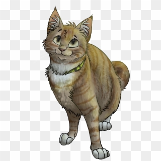 Image Transparent Library Tabby Cat Wildcat Drawing - Brown Tabby Warrior Cats, HD Png Download