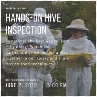 Hands-on Hive Inspection June Masterson's Garden Center,, HD Png Download