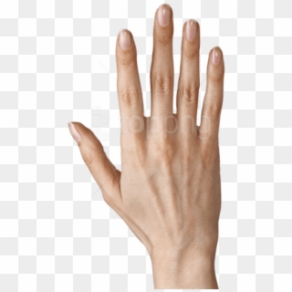 Free Png Hand Showing Five Fingers Png Images Transparent - Girl Fingers Png, Png Download