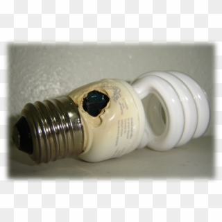 Failed Bulb Found On The Internet - Fluorescent Lamp, HD Png Download