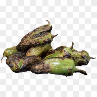 Momordica Charantia, HD Png Download
