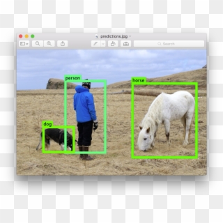 The Tiny Version Of Yolo Only Uses 516 Mb Of Gpu Memory - Yolo Real Time Object Detection, HD Png Download