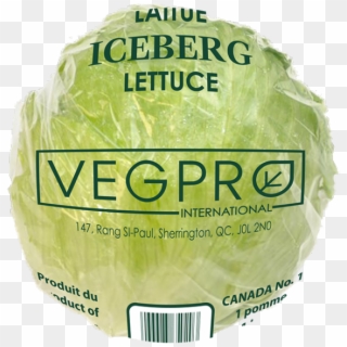 Previous Next - Iceburg Lettuce, HD Png Download