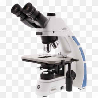 3035 With Ceramic Stage - Euromex Oxion Microscope, HD Png Download