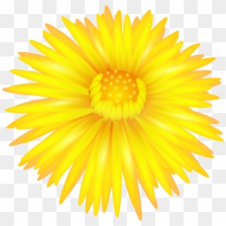 Yellow Flower Transparent Png Clip Art - Yellow Daisy Flower Png, Png Download