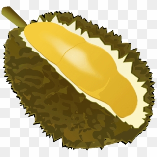 Durian Clipart Royalty Free - Durian, HD Png Download