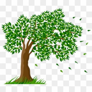 Clipart Freeuse Collection Of Trees Transparent High - Tree Drawing With Flowers, HD Png Download