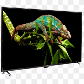 52 Inch Ultra Wide Lcd Flat Led 3d Smart Tv - Panther Chameleon Climbing, HD Png Download