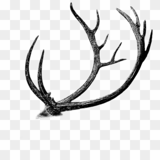 Free Png Antler Cutout By Mauvevrexel - Drawing, Transparent Png