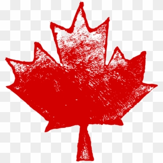 Free Download - Maple Leaf, HD Png Download