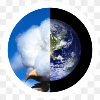 Cotton Boll And Planet Earth - Cotton Sustainability, HD Png Download