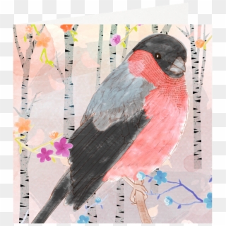 Postcard Drawing Watercolor Paint - Rose Breasted Grosbeak, HD Png Download