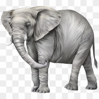 Elephant Png Clipart - Elephant Images In Png, Transparent Png