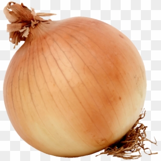 Download Free Onion - Onion Clipart, HD Png Download