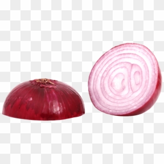 Free Png Red Sliced Onion Png Images Transparent - Onion Png, Png Download