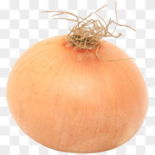 Yellow Onion, HD Png Download