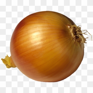 Onion Png Picutre - Buyuk Soğan, Transparent Png
