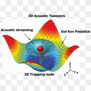 Numerical Simulation Results Mapping The Acoustic Field - Acoustic Tweezers, HD Png Download