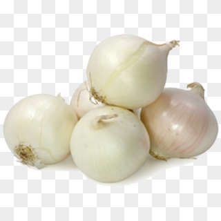 White Onion Png - Small White Onion, Transparent Png