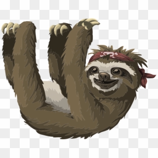 Sloth Clip Art, HD Png Download