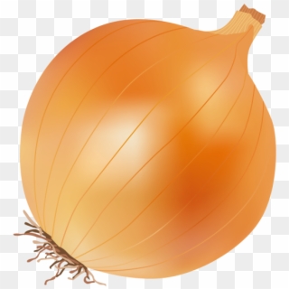 Onion - Yellow Onion, HD Png Download