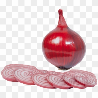 Onion Png Image - Png Transparent 1 Onion, Png Download