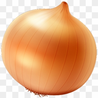 Single Onion Free Png Image - Yellow Onion, Transparent Png