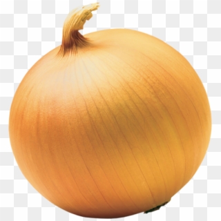 Onion Png Free Download - Yellow Onion Png, Transparent Png