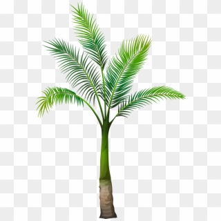 Palm Tree Png Image - Palm Tree Transparent Background, Png Download