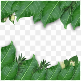 Tropical Leaf Arrangement Artistic - Aquarelas Verao Arquivo Png Transparente, Png Download