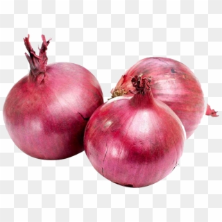 Onion Varieties Of India, HD Png Download