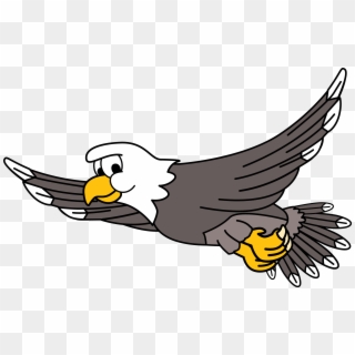 3011 X 1907 14 - Cartoon Flying Eagle Clipart, HD Png Download