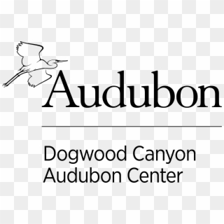 Summer Camp Week 1 - National Audubon Society, HD Png Download