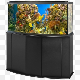 Fish Tank Coral Clipart - Aquarium Fish Tank Png, Transparent Png