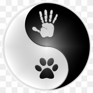 Hand To Paw, HD Png Download