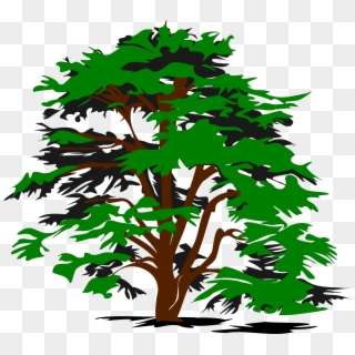 Tree Vector Png - Land Labor And Capital Resources, Transparent Png