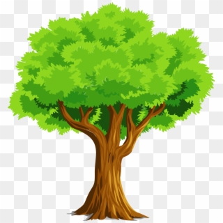 Colorful Natural Tree Vector Clipart - Tree Clipart, HD Png Download