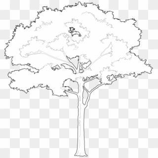 Free Tree Vectors - White Tree Vector Png, Transparent Png