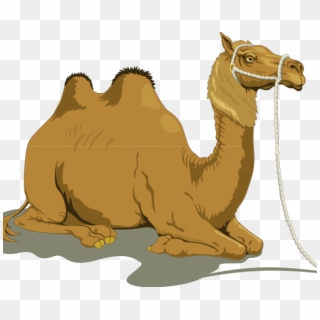Free Camel Pictures Camel 1 Free Vector 4vector Coloring - Camel And The Baby Story, HD Png Download